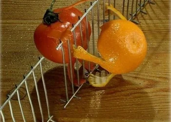 KIT DE SUPERVIVENCIA ANTE UN CONFINAMIENTO